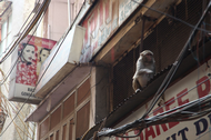 india_2015_0009.png